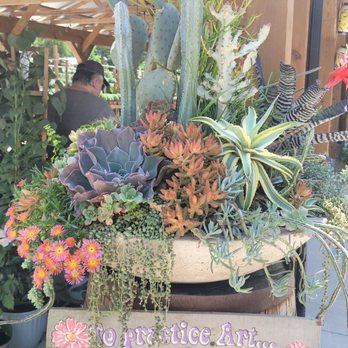 Groovy Plants Ranch - Succulents - Nurseries & Gardening Near Me - Marengo, Ohio