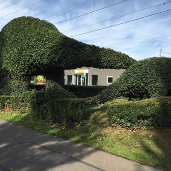 Fremont Dinosaurs - View from the trail - Public Art Near Me - Seattle, Washington