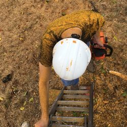 Living Tree Services - It was nothing short of hard work, but we are glad that Dallas is recovering from the severe storms we have encountered over the past weeks.