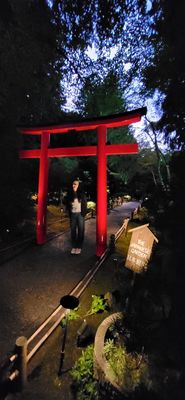 The Butchart Gardens by null