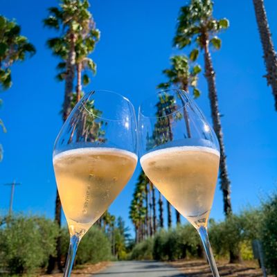 Iron Horse Vineyards by null