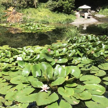 UC Botanical Garden at Berkeley - Japanese garden - Botanical Gardens Near Me - Berkeley, California