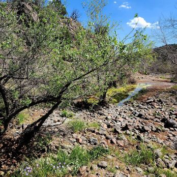 Tonto National Forest - Parks Near Me - Phoenix, Arizona Tonto National Forest - Parks Near Me - Phoenix, Arizona