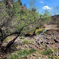 Tonto National Forest