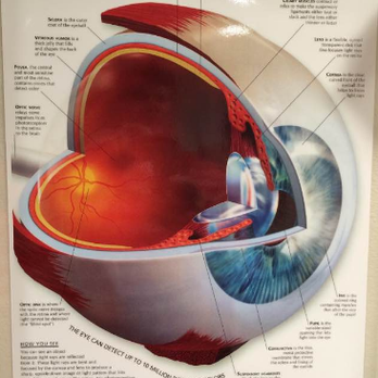 Newport Vision Center - Optometrists Near Me - Newport, Oregon Newport Vision Center - Optometrists Near Me - Newport, Oregon
