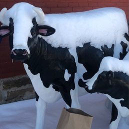 Snowy cows