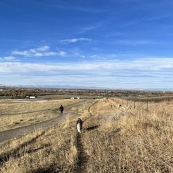 Snowfill Dog Park - Trails