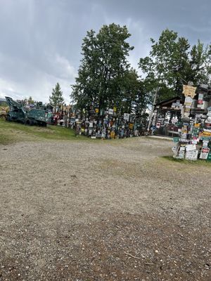 Sign Post Forest by null