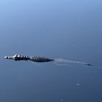 Gulf State Park - Parks Near Me - Gulf Shores, Alabama Gulf State Park - Parks Near Me - Gulf Shores, Alabama