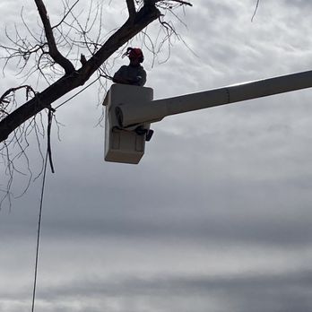 Herman's Tree & Hauling Service - Tree Services Near Me - Albuquerque, New Mexico