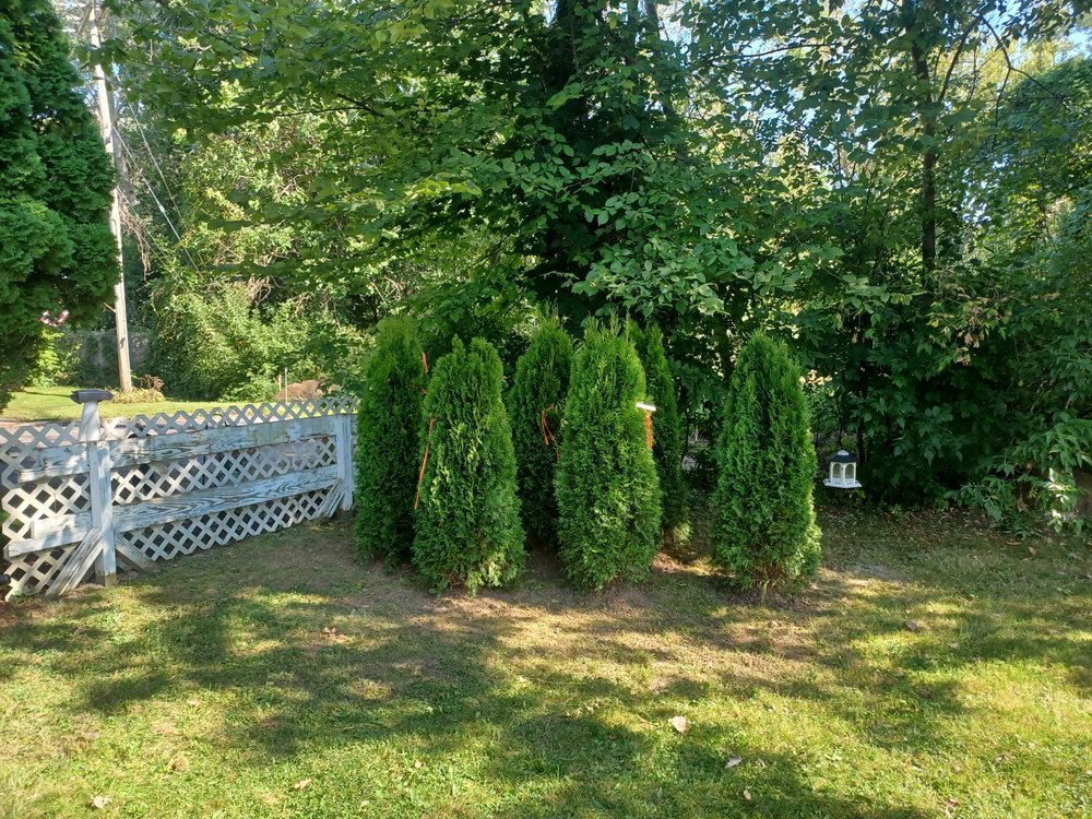 Buffalo Landscape Solutions and Home Services - tree service in Depew, NY