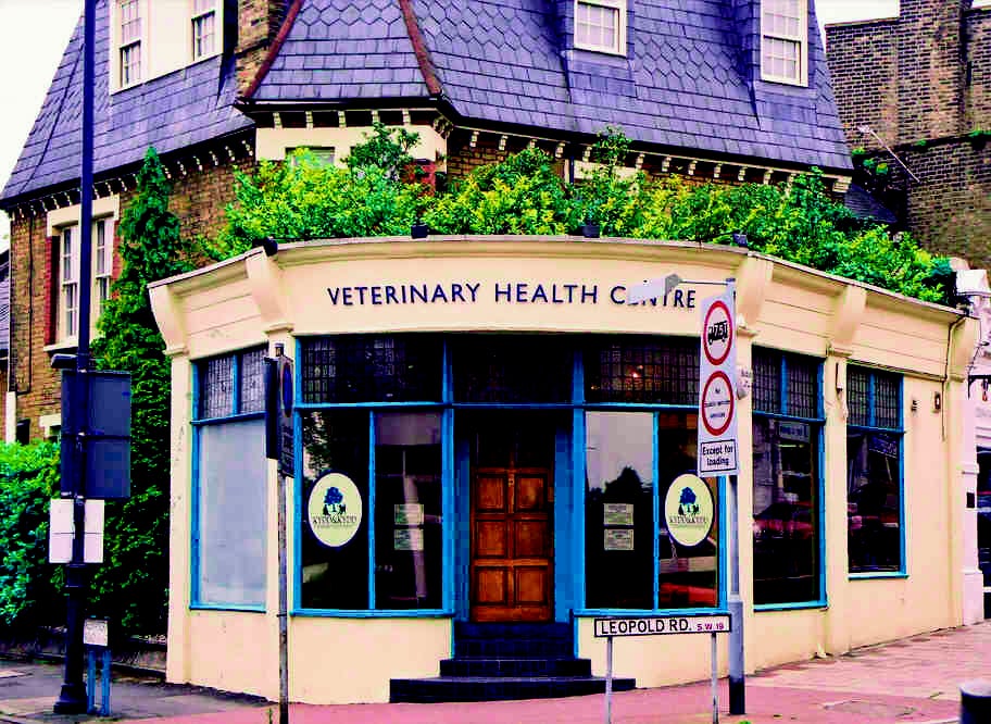KYDD & KYDD VETERINARY HEALTH CENTRE Updated September 2024 13 Leopold Road, Wimbledon