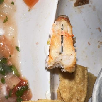 Green Cactus - Dirty Shrimp in my Shrimp Quesadilla - Mexican Near Me - Stony Brook, New York Green Cactus - Dirty Shrimp in my Shrimp Quesadilla - Mexican Near Me - Stony Brook, New York