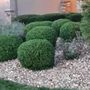 Photo of Like Magic Lawn & Landscaping