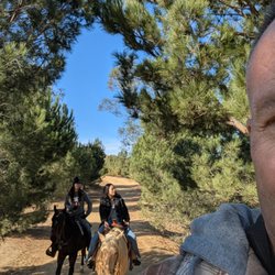 LA Horse Rentals