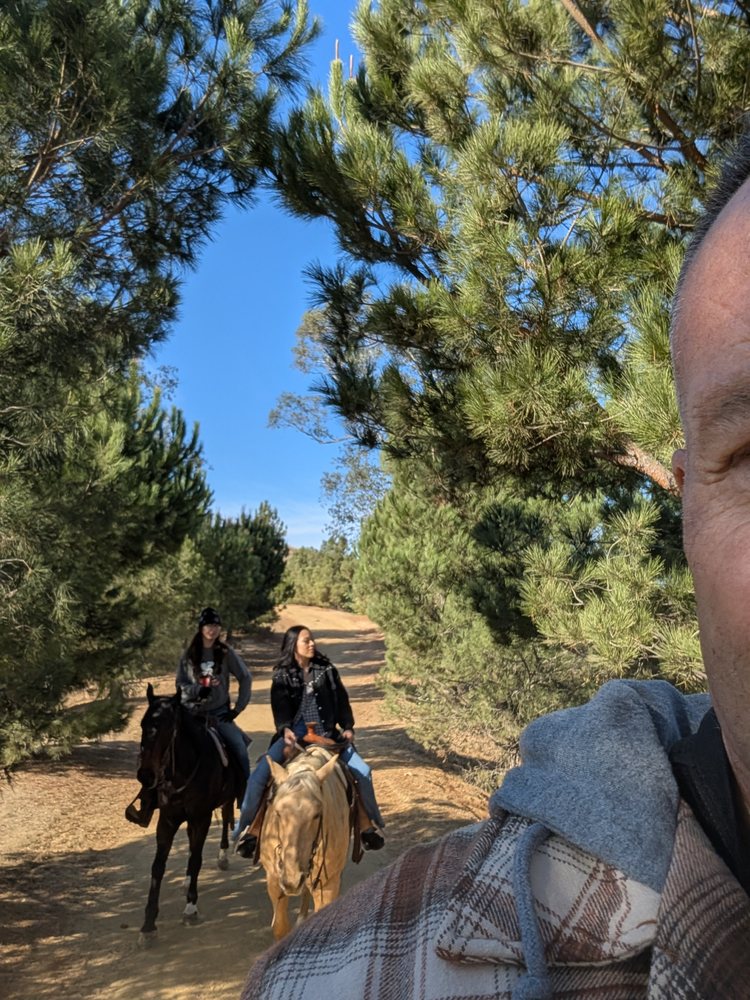 LA Horse Rentals - equestrian in Glendale, CA