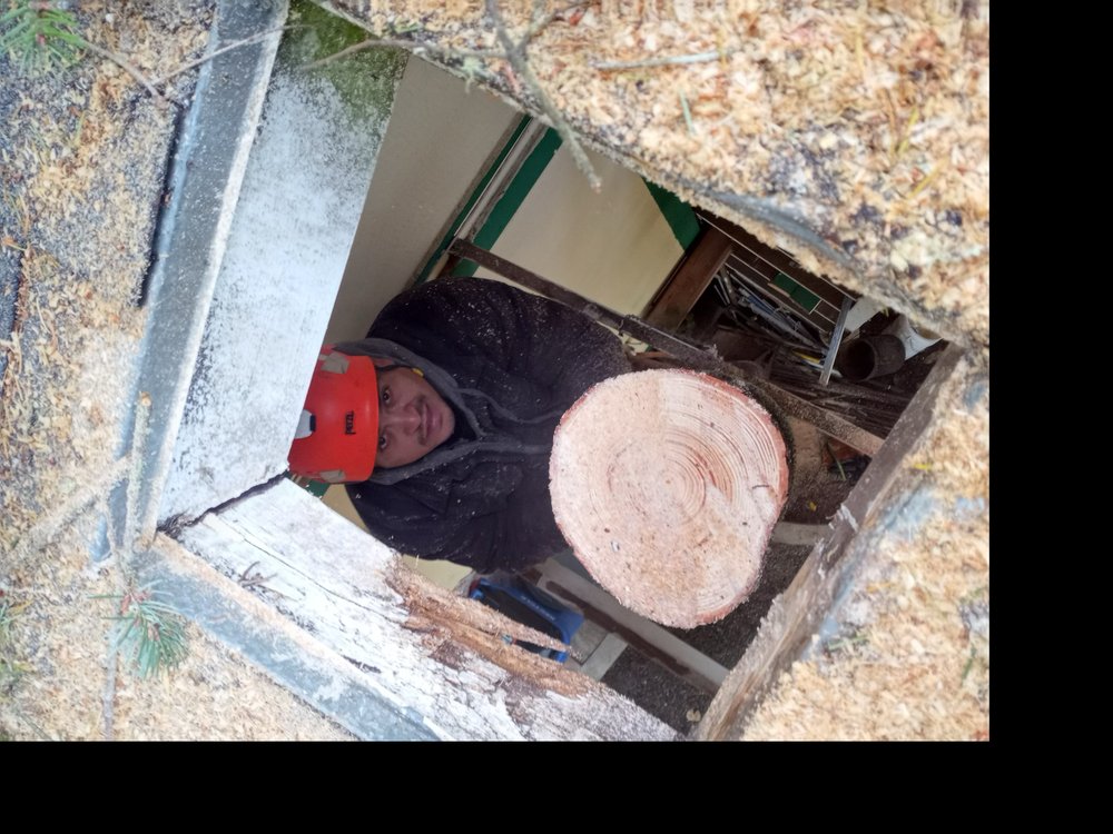 RUIZ TREE SERVICE Vancouver, WA Yelp