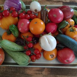 David's Garden Seeds - Part of today's harvest.