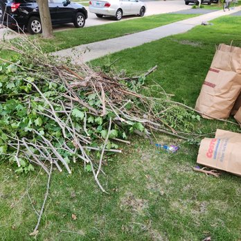 Mike's Tree Service - Tree branches - Tree Services Near Me Mike's Tree Service - Tree branches - Tree Services Near Me