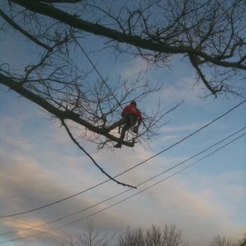Safety Tree Service - Tree Services Near Me - Kansas City, Missouri Safety Tree Service - Tree Services Near Me - Kansas City, Missouri