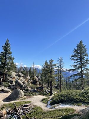 D. L. Bliss State Park by null