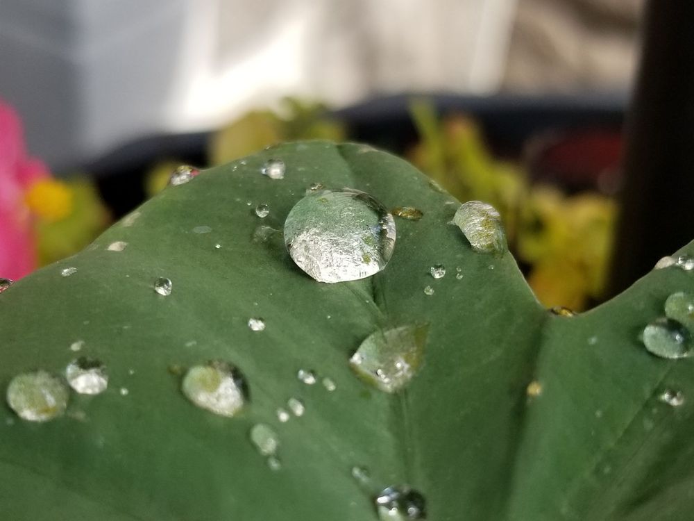 MEADOW VIEW GROWERS Updated August 2024 84 Photos & 19 Reviews