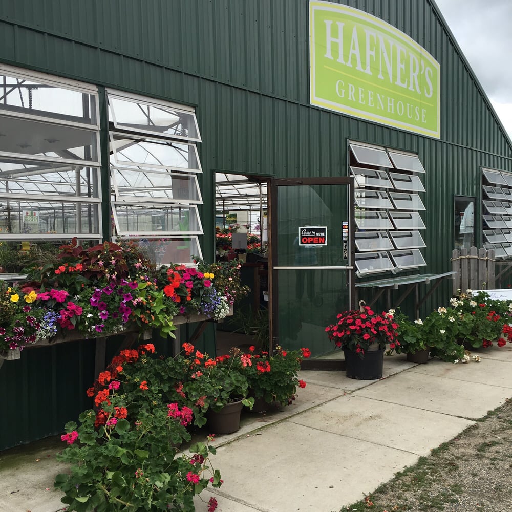HAFNER’S GREENHOUSE Updated September 2024 16925 170th St, Park Rapids, Minnesota