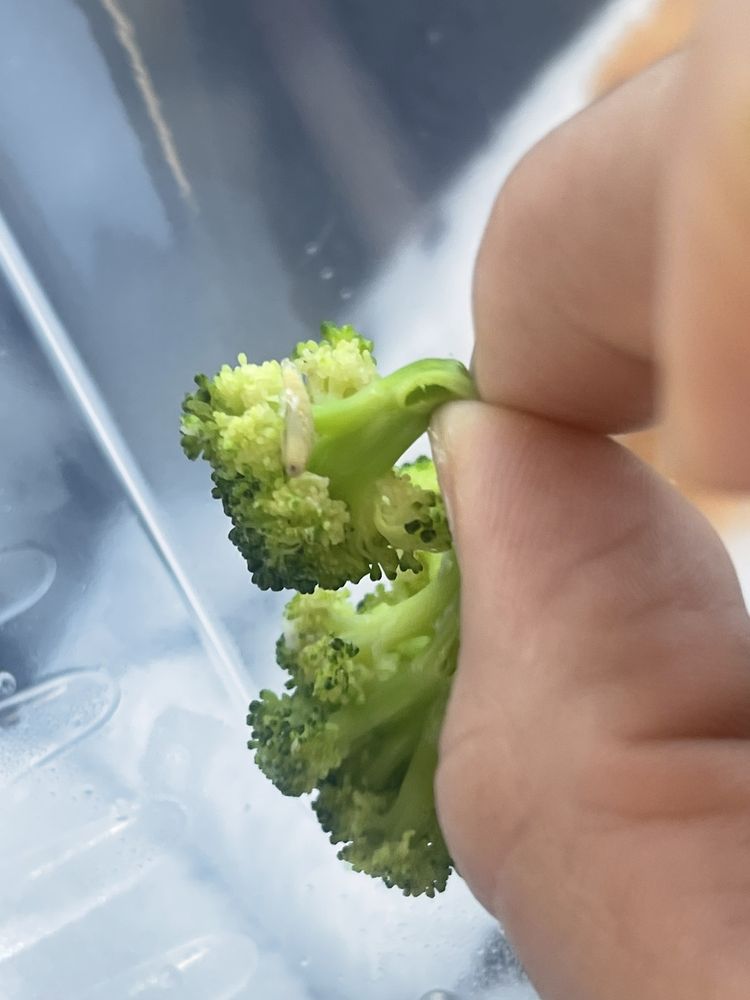 CHILI’S 144 Photos & 340 Reviews 1490 E 2nd St, Beaumont