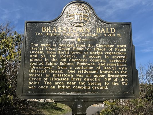 Brasstown Bald by null