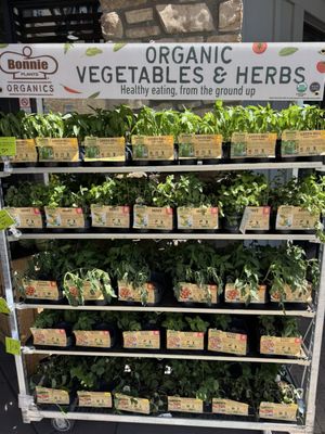 Whole Foods Market by null