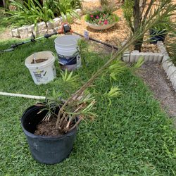 Get R Green Sod and Landscaping