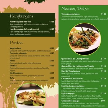 Natura - Vegetarian menu - Vegetarian Near Me - Cancún, ROO