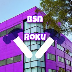 Bsn Roku