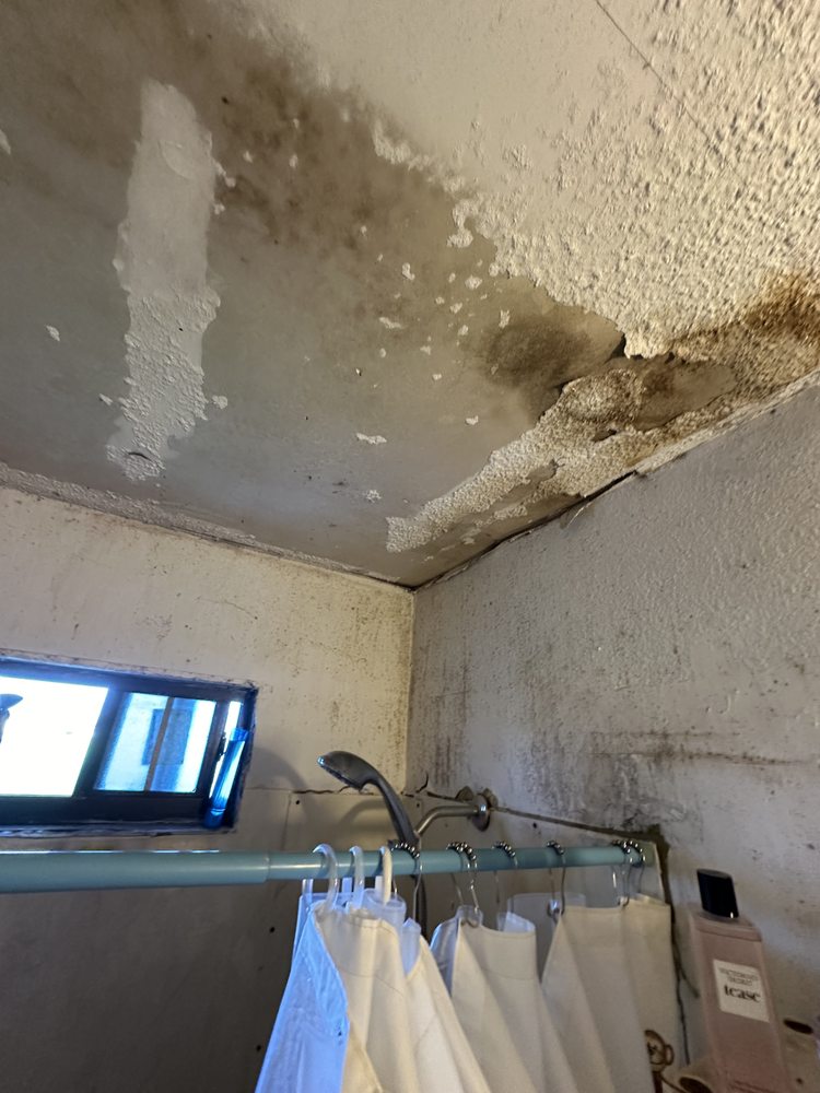 SporaQ - mold inspector in McAllen, TX