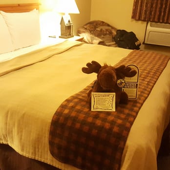Stoney Creek Hotel La Crosse - Onalaska - Hotels Near Me - Onalaska, Wisconsin Stoney Creek Hotel La Crosse - Onalaska - Hotels Near Me - Onalaska, Wisconsin