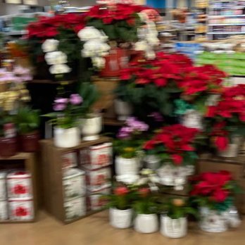 Kroger - Beautiful flowers and plans with affordable price - Grocery Near Me - Katy, Texas