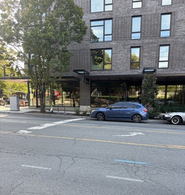 Liza Eastlake by null