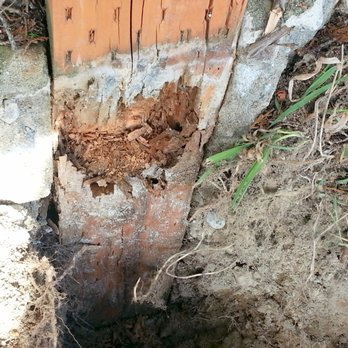 Premier Fence - Another rotting fence post, showing only a few inches of concrete at the top, and that it was then buried in just soil below that. - General Contractors Near Me - Marysville, Washington Premier Fence - Another rotting fence post, showing only a few inches of concrete at the top, and that it was then buried in just soil below that. - General Contractors Near Me - Marysville, Washington