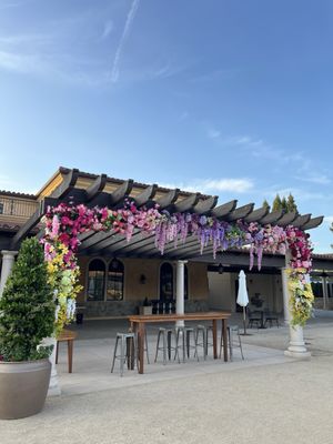 Bacchus Landing by null