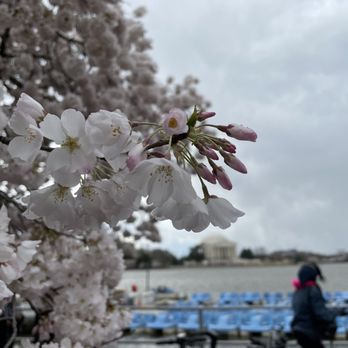 Tidal Basin - Lakes Near Me - Washington, DC, District of Columbia