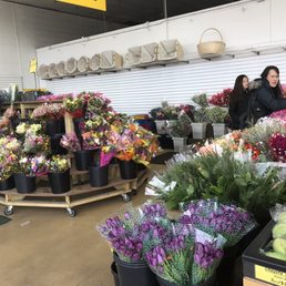 25-stem roses for $10