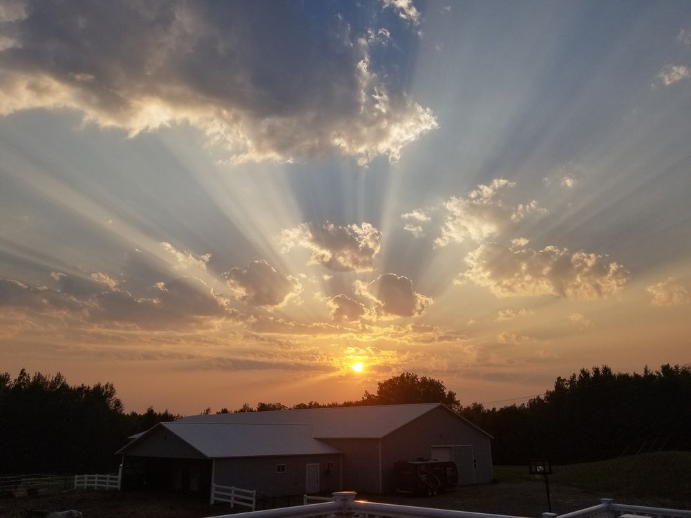 Rise & Shine Stable - equestrian in Cambridge, MN