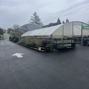 Zenith Holland Nursery - Nurseries & Gardening Near Me - Des Moines, Washington Zenith Holland Nursery - Nurseries & Gardening Near Me - Des Moines, Washington