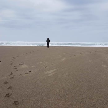 Abbotts Lagoon - Beaches Near Me - Inverness, California