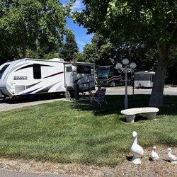 Almond Tree RV Park - Site #9