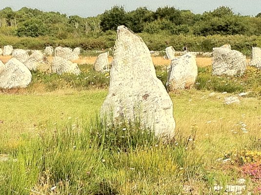 Alignements of Carnac by null