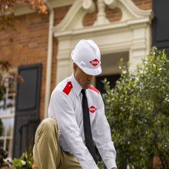 Orkin - Pest Control Near Me - Edmond, Oklahoma Orkin - Pest Control Near Me - Edmond, Oklahoma