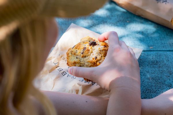 Swamp Rabbit Cafe and Grocery by null