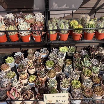 Barons Market - Grocery Near Me - Carlsbad, California