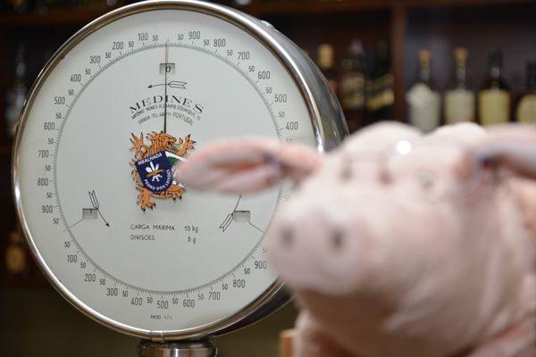 Pedro dos Leitões by null